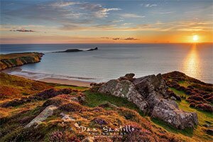 Gower Gower